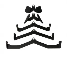 Fitness Back Strength Training foganty&uacute;