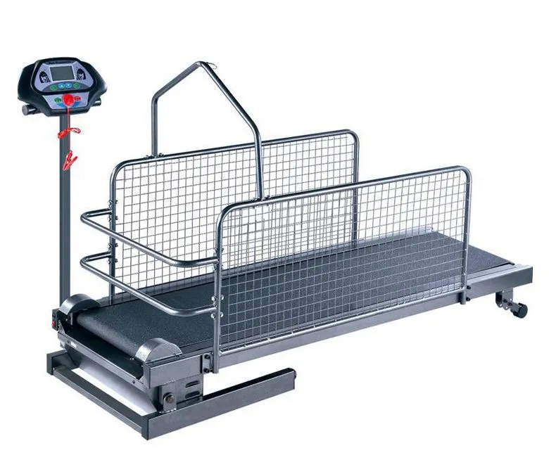 Kisállat kutya futópad otthoni használatra