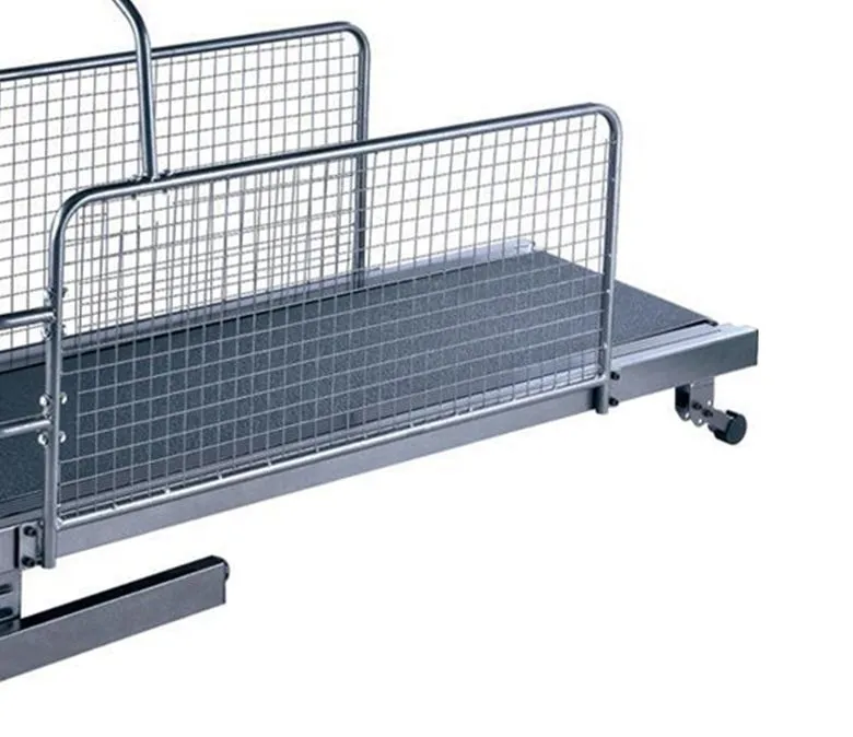 Kisállat kutya futópad otthoni használatra