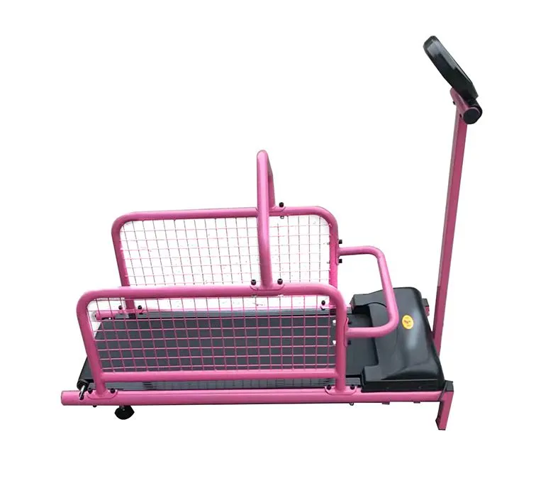 Kisállat kutya futó edzőgép