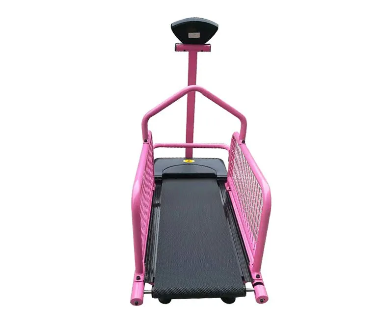 Kisállat kutya futó edzőgép