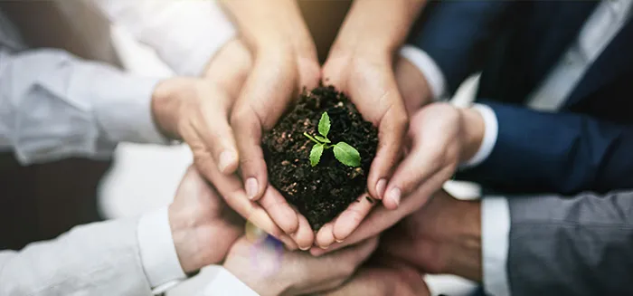 Megújuló energiaforrások